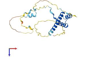 AlphaFold protein structure predicition of Mouse Recombinant Msx3 Protein, UniprotID P70354 (Homeobox, Msh-Like 3 (MSX3) (AA 1-204) protein (His tag))