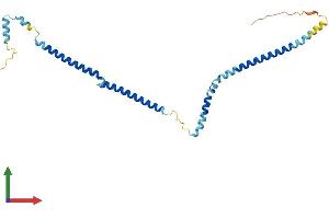 Protein Structure (PS) image for HAUS Augmin-Like Complex, Subunit 2 (HAUS2) (AA 1-234) protein (His tag) (ABIN7560574)
