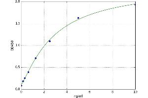 Kruppel-Like Factor 10 (KLF10) ELISA Kit
