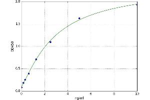 A typical standard curve (KLF10/TIEG1 ELISA Kit)