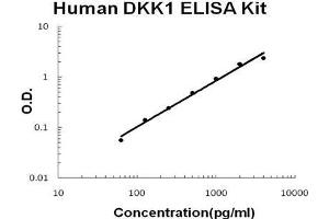 Human DKK-1 PicoKine ELISA Kit standard curve