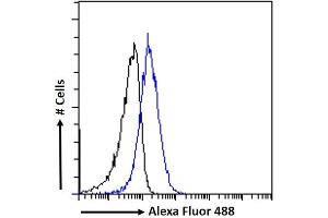 (ABIN184635) Flow cytometric analysis of paraformaldehyde fixed A549 cells (blue line), permeabilized with 0. (MTMR9 antibody  (C-Term))