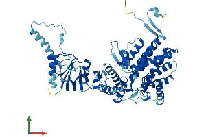 Protein Structure (PS) image for T-Complex Protein 1 Subunit zeta-2-Like (CCT6B) (AA 1-531) protein (His tag) (ABIN7557700)