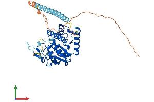 Protein Structure (PS) image for RNA (Guanine-9-) Methyltransferase Domain Containing 3 (RG9MTD3) (AA 1-318) protein (His tag) (ABIN7560817)