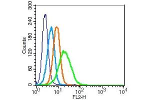 Human U937 probed with 	SIRP Alpha Polyclonal Antibody  at 1:100 for 30 minutes followed by incubation with a PE Conjugated secondary (green) for 30 minutes compared to control cells (blue), secondary only (light blue) and isotype control (orange). (SIRPA antibody  (AA 151-250))