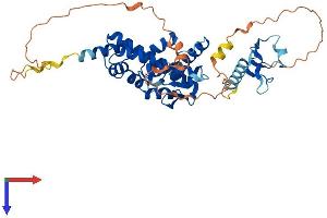 AlphaFold protein structure predicition of Human Recombinant SPATA2L Protein, UniprotID Q8IUW3