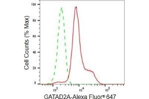 Flow cytometric analysis of GATAD2A expression in HeLa cells using GATAD2A antibody (ABIN7798698), 1:2,000).