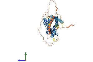 AlphaFold protein structure predicition of Human Recombinant DRD5 Protein, UniprotID P21918
