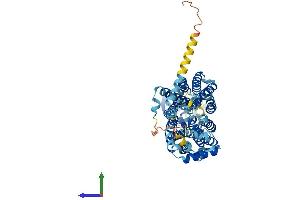 AlphaFold protein structure predicition of Human Recombinant SLC22A16 Protein, UniprotID Q86VW1