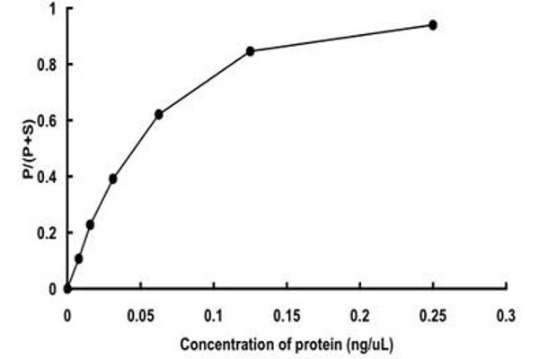 TNIK Protein (AA 1-314) (GST tag)