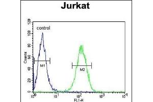 Flow Cytometry (FACS) image for anti-UTP6, Small Subunit (SSU) Processome Component, Homolog (UTP6) (AA 16-43), (N-Term) antibody (ABIN651489)