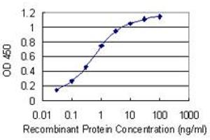 Detection limit for recombinant GST tagged PCBP1 is 0. (PCBP1 antibody  (AA 181-280))