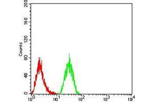 Flow cytometric analysis of Hela cells using KDM1A mouse mAb (green) and negative control (red). (LSD1 antibody  (AA 55-263))