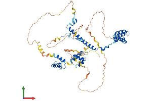 Protein Structure (PS) image for REST Corepressor 2 (Rcor2) (AA 1-523) protein (His tag) (ABIN7559182)