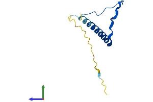 Protein Structure (PS) image for BBSome Interacting Protein 1 (BBIP1) (AA 1-92) protein (His tag) (ABIN7552633)