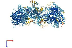 AlphaFold protein structure predicition of Human Recombinant ADCY10 Protein, UniprotID Q96PN6 (ADCY10 Protein (AA 1-1610) (His tag))