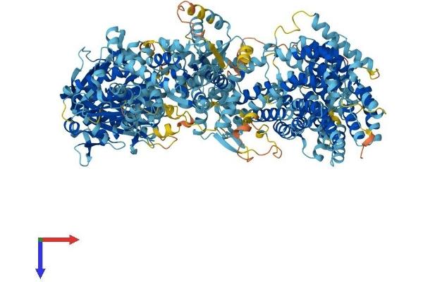 ADCY10 Protein (AA 1-1610) (His tag)