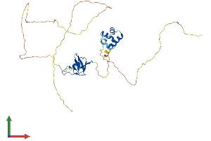 Protein Structure (PS) image for SAM Domain, SH3 Domain and Nuclear Localization Signals, 1 (SAMSN1) (AA 1-372) protein (His tag) (ABIN7556504)