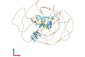 AlphaFold protein structure predicition of Human Recombinant ZFPM1 Protein, UniprotID Q8IX07