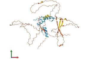 AlphaFold protein structure predicition of Human Recombinant KLF15 Protein, UniprotID Q9UIH9 (KLF15 Protein (AA 1-416) (His tag))