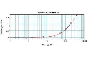 IL-3 antibody