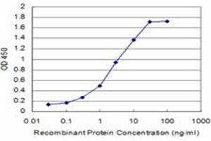 Detection limit for recombinant GST tagged CITED1 is approximately 0. (CITED1 antibody  (AA 94-193))