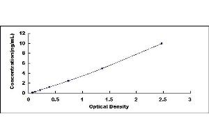 Typical standard curve (ELOVL1 ELISA Kit)