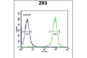 Flow cytometric analysis of 293 cells (right histogram) compared to a negative control cell (left histogram). (EPC2 antibody  (N-Term))