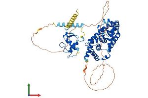 AlphaFold protein structure predicition of Human Recombinant RORC Protein, UniprotID P51449 (RORC Protein (AA 1-518) (His tag))