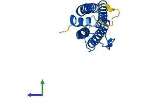 Protein Structure (PS) image for Ferritin, Light Polypeptide (FTL) (AA 1-183) protein (His tag) (ABIN7563074)