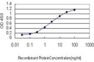 Detection limit for recombinant GST tagged DAZ1 is approximately 0. (DAZ1 antibody  (AA 21-120))