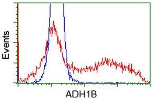 Flow Cytometry (FACS) image for anti-Alcohol Dehydrogenase 1B (Class I), beta Polypeptide (ADH1B) antibody (ABIN1496479) (ADH1B antibody)