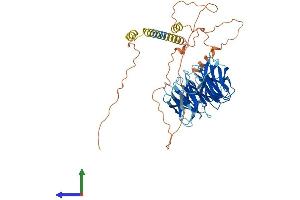 Protein Structure (PS) image for Transducin-Like Enhancer of Split 6 (TLE6) (AA 1-572) protein (His tag) (ABIN7544410)