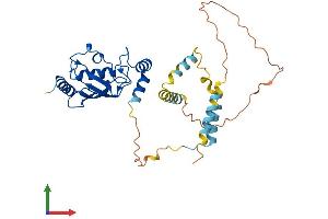 AlphaFold protein structure predicition of Human Recombinant UBE2U Protein, UniprotID Q5VVX9 (UBE2U Protein (AA 1-321) (His tag))