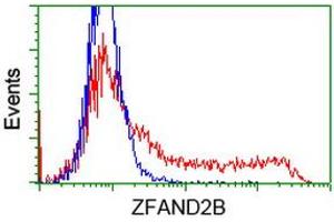 HEK293T cells transfected with either RC203822 overexpress plasmid (Red) or empty vector control plasmid (Blue) were immunostained by anti-ZFAND2B antibody (ABIN2454251), and then analyzed by flow cytometry. (ZFAND2B antibody)