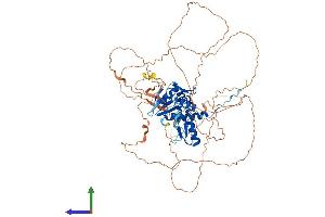 AlphaFold protein structure predicition of Human Recombinant ZBTB33 Protein, UniprotID Q86T24 (ZBTB33 Protein (AA 1-672) (His tag))