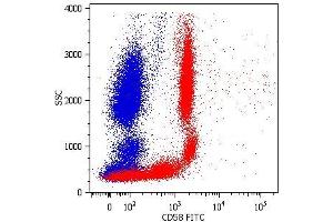 Surface staining of human peripheral blood cells with anti-CD58 (MEM-63) FITC. (CD58 antibody  (PE))