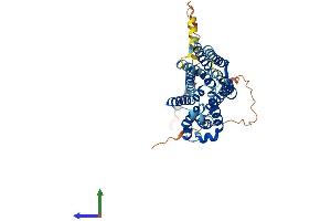 AlphaFold protein structure predicition of Mouse Recombinant Slc35f1 Protein, UniprotID Q8BGK5