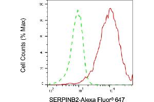 anti-Plasminogen Activator Inhibitor 2 (SERPINB2) antibody