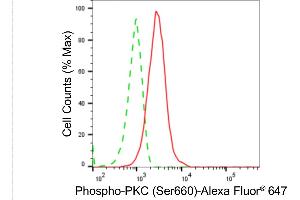 Flow cytometric analysis of Phospho-PKC (Ser660) expression in C2C12 cells using Phospho-PKC (Ser660) antibody (ABIN7799980), 1:2,000).