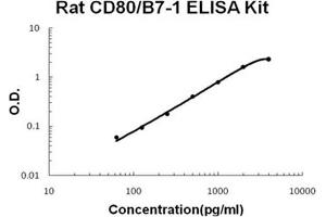 Rat CD80/B7-1 PicoKine ELISA Kit standard curve (CD80 ELISA Kit)