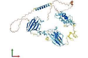 AlphaFold protein structure predicition of Human Recombinant MFRP Protein, UniprotID Q9BY79