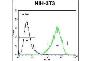 HOMEZ Antibody (N-term) (ABIN654727 and ABIN2844415) flow cytometric analysis of NIH-3T3 cells (right histogram) compared to a negative control cell (left histogram). (HOMEZ antibody  (N-Term))