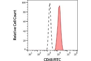 Separation of human CD48 positive lymphocytes (red-filled) from human CD48 negative neutrophil granulocytes (black-dashed) in flow cytometry analysis (surface staining) of human peripheral whole blood stained using anti-human CD48 (MEM-102) FITC (20 μL reagent / 100 μL of peripheral whole blood). (CD48 antibody  (FITC))