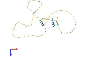 Lysine-Rich Coiled-Coil 1 (KRCC1) (AA 1-256) protein (His tag)