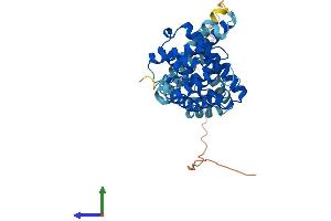 AlphaFold protein structure predicition of Mouse Recombinant Letmd1 Protein, UniprotID Q924L1