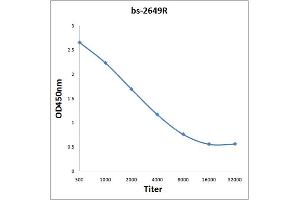 Antigen: 0. (LCK antibody  (AA 421-509))