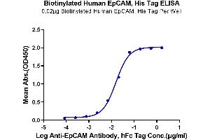 Immobilized Biotinylated Human EpCAM, His Tag at 0. (EpCAM Protein (AA 24-265) (His-Avi Tag,Biotin))