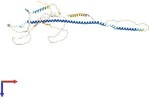 AlphaFold protein structure predicition of Human Recombinant RSPH3 Protein, UniprotID Q86UC2 (RSPH3 Protein (AA 1-560) (His tag))