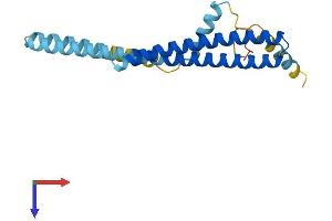Charged Multivesicular Body Protein 1B (CHMP1B) (AA 1-199) protein (His tag)
